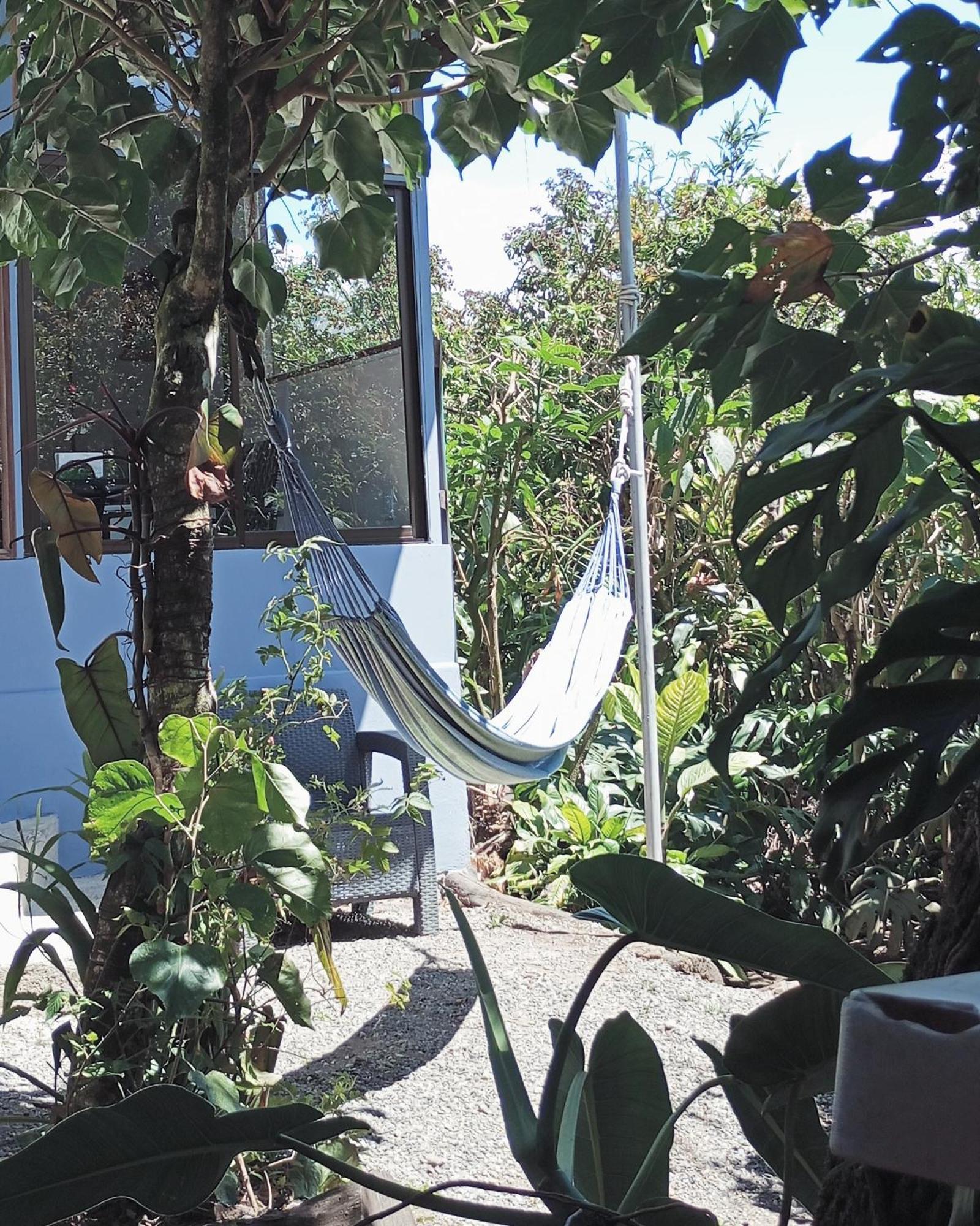 Monteverde Cecropia Paradise Rum bild