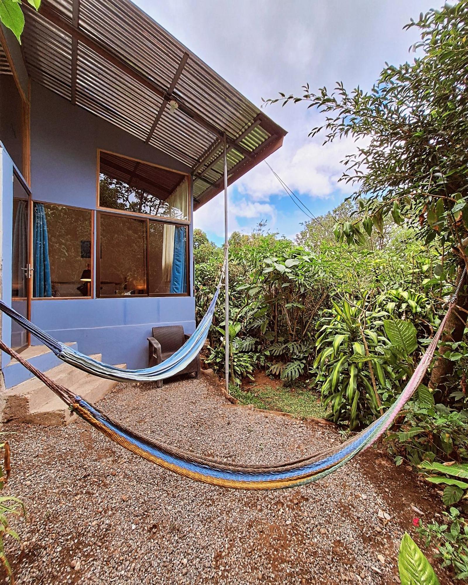 Monteverde Cecropia Paradise Rum bild