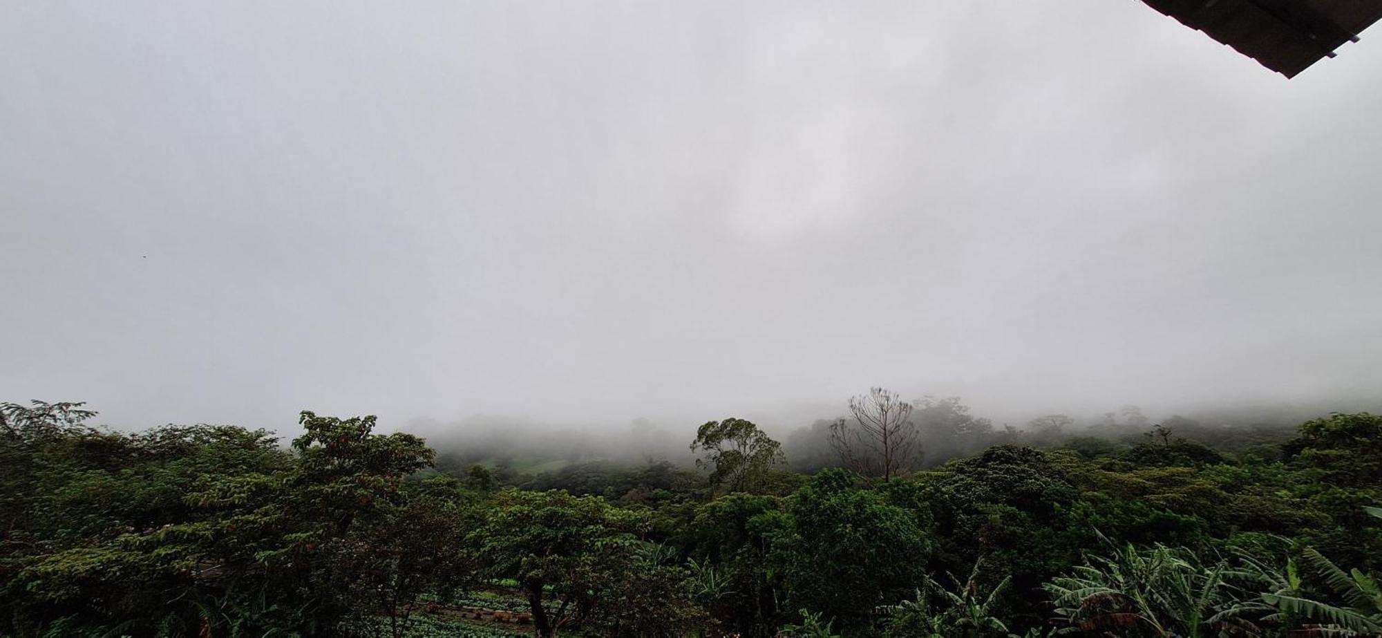 Monteverde Cecropia Paradise Rum bild