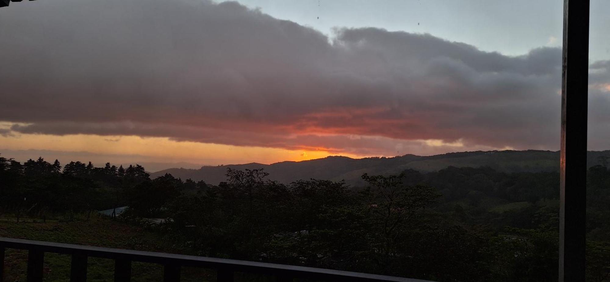 Monteverde Cecropia Paradise Rum bild