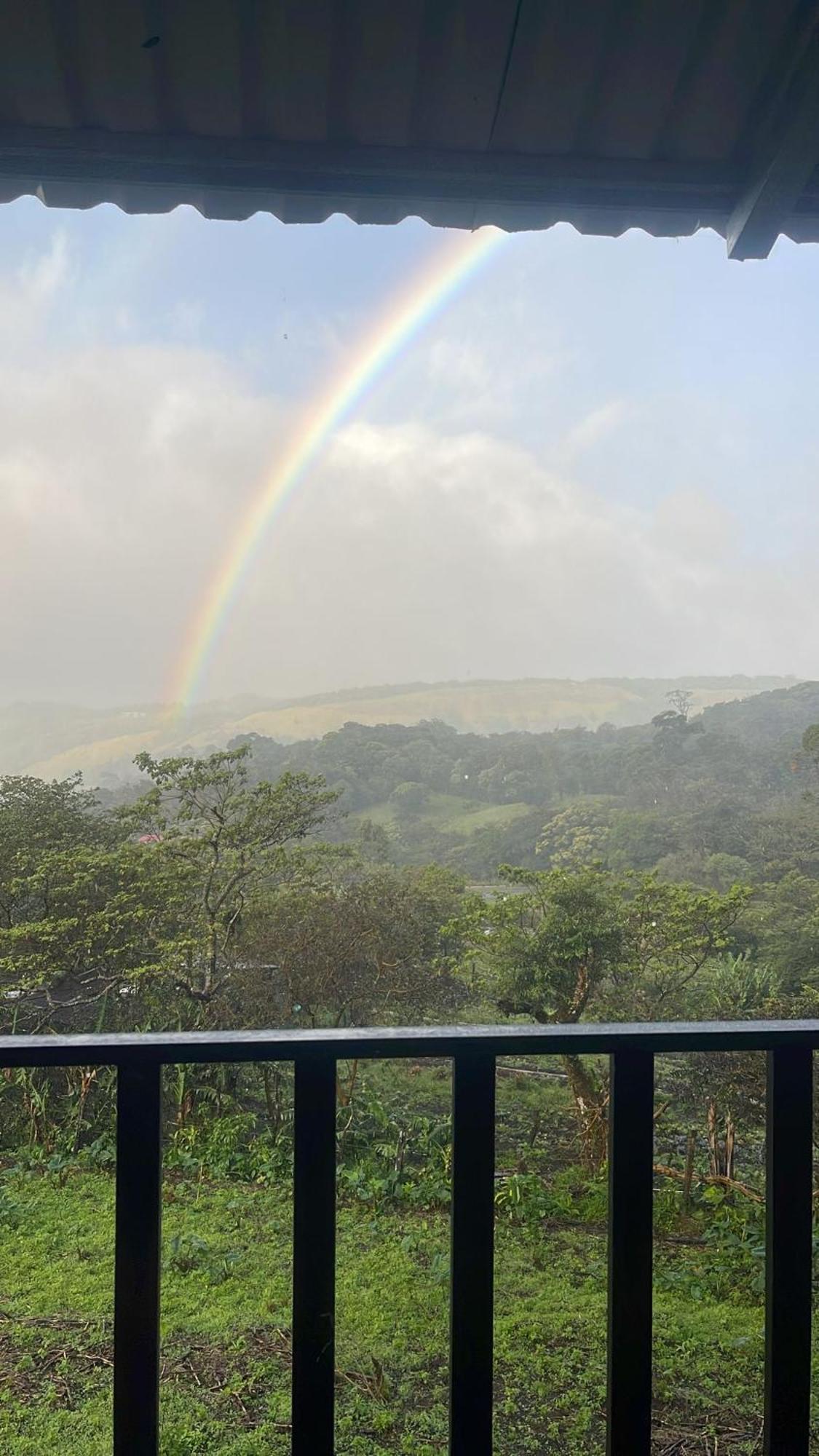Monteverde Cecropia Paradise Rum bild