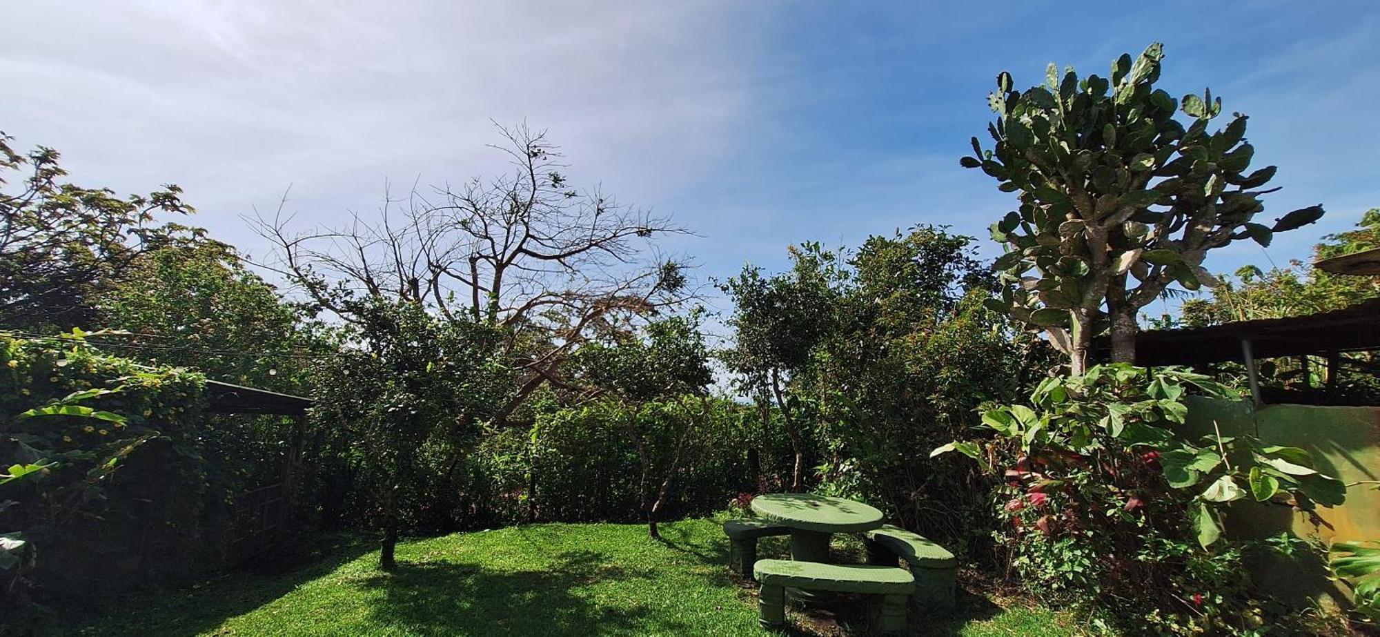 Monteverde Cecropia Paradise Rum bild
