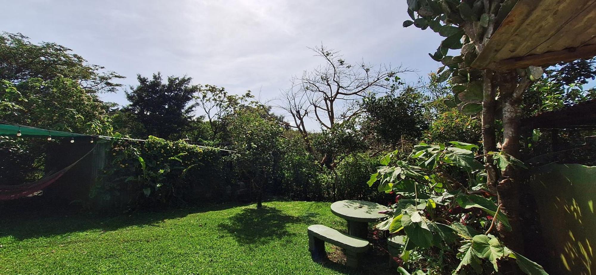 Monteverde Cecropia Paradise Rum bild